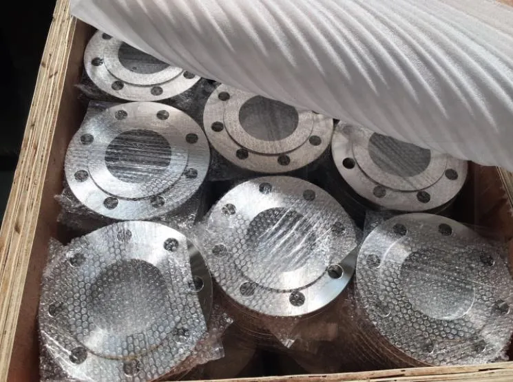 ANSI/DIN/En1092-1 Forged Carbon/Stainless Steel Pn10/16 Welding Neck/Blind/Slip on/Flat Plate/Socket RF/FF Pipe Flange