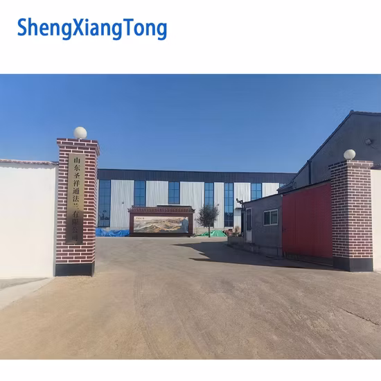 플랜지형 실린더 ASME/ANSI/DIN/En/GB/JIS/RF/FF/Rtj 150#-2500# 탄소강/스테인리스강/합금강 단조 Wn/So/스레드/플레이트/부싱/블라인드 플랜지